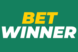 Understanding BetWinner's Privacy Policy Understanding BetWinner's Privacy Policy